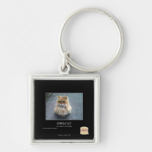 Owlcat Key Ring
