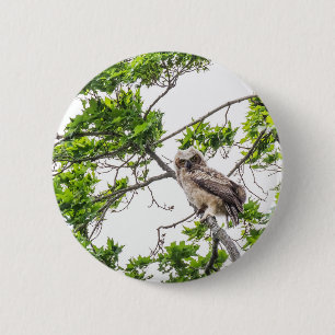 Owlet On A Maple Tree Branch 6 Cm Round Badge