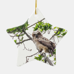 Owlet On A Maple Tree Branch Ceramic Tree Decoration
