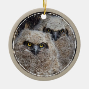 Owlets Ceramic Ornament