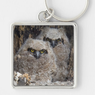 Owlets Key Ring
