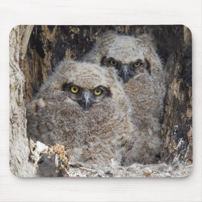 Owlets Mouse Pad (Front)
