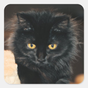 Owlette Square Sticker