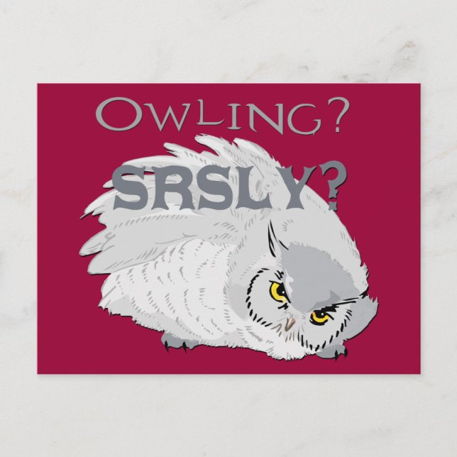 Owling Seriously Postcard (Front)