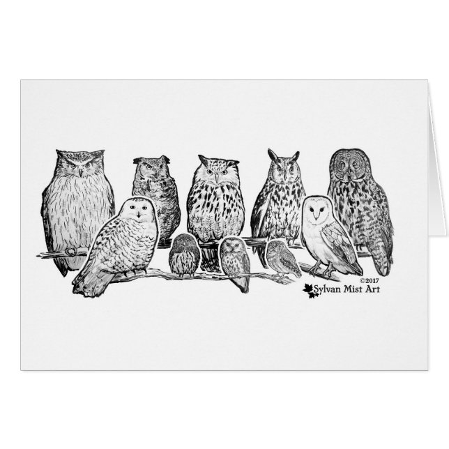 Owls (Front Horizontal)