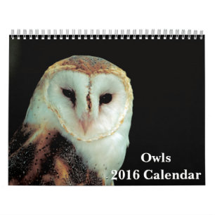 Owls 2016 Calendar