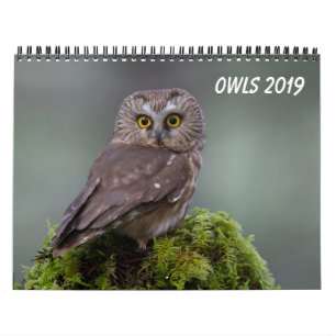 Owls 2019 calendar