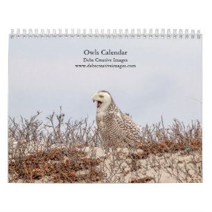 Owls 2026 calendar