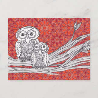 Owls 41 Postcard