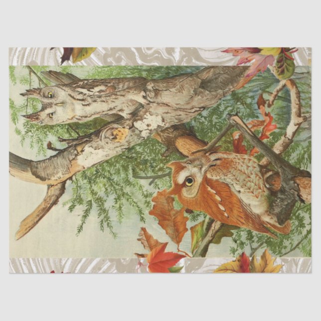 OWLS AMONG FALL LEAVES IN WOODLAND TISSUE PAPER (Front)