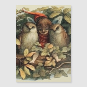 Owls and Elf Fairies Nature Illustration