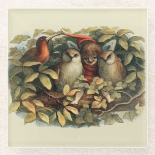 Owls and Elf Fairies Nature Illustration Glass Coaster