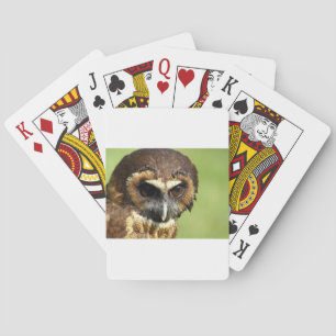 Owls Animal Birds Nature Park Tree Harmony Destiny Playing Cards