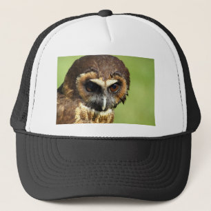 Owls Animal Birds Nature Park Tree Harmony Destiny Trucker Hat