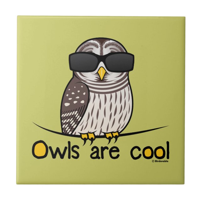 Owls are cool ceramic tile (Front)