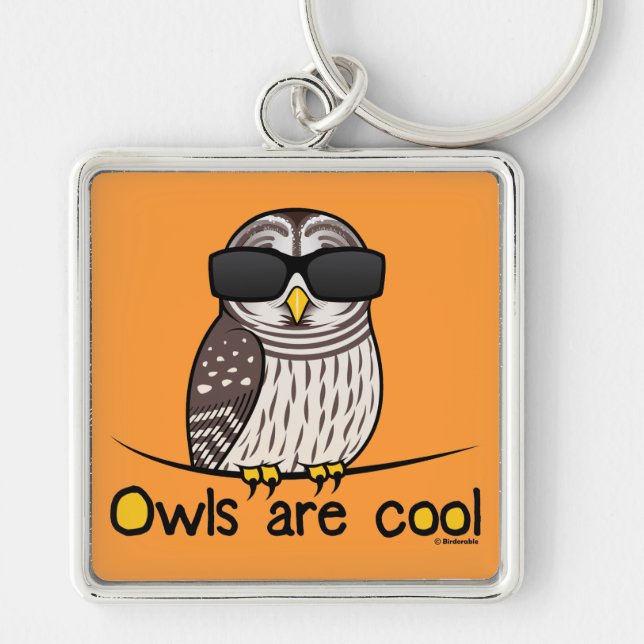 Owls are cool key ring (Front)