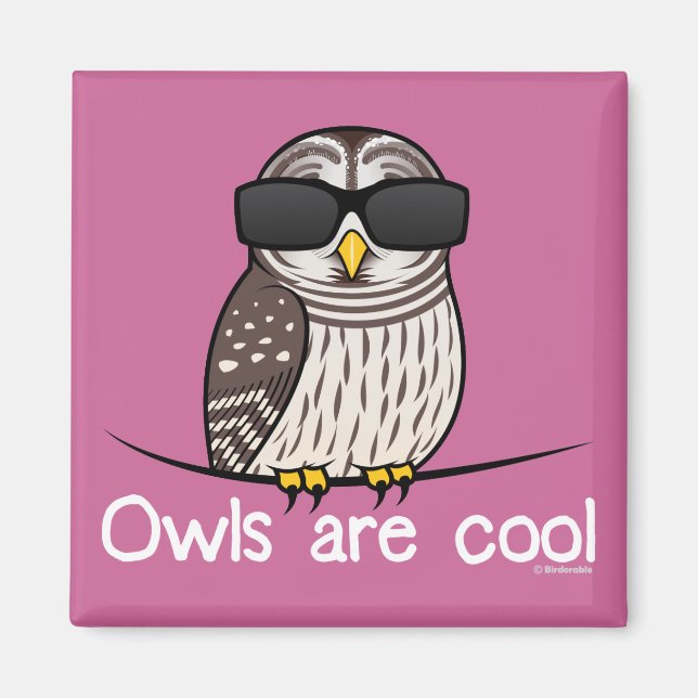 Owls are cool magnet (Front)