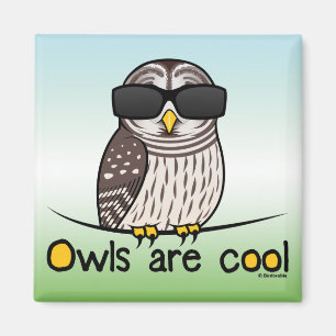 Owls are cool! magnet