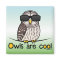 Owls are cool!