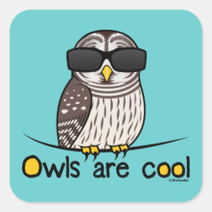 Owls are cool square sticker