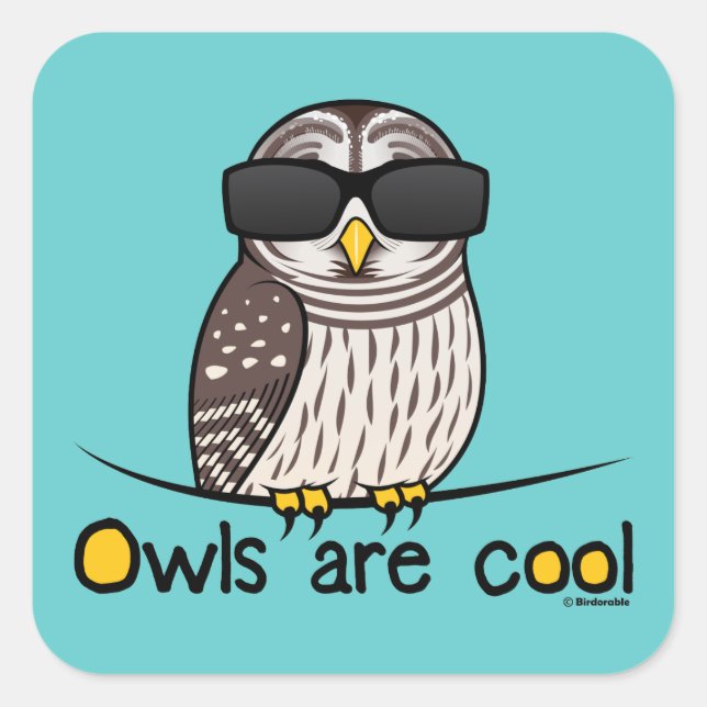 Owls are cool square sticker (Front)