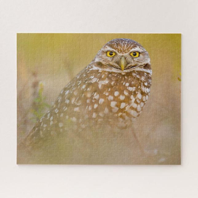 Owls -Birds of Prey. Jigsaw Puzzle (Horizontal)