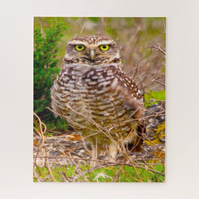 Owls -Birds of Prey. Jigsaw Puzzle (Vertical)