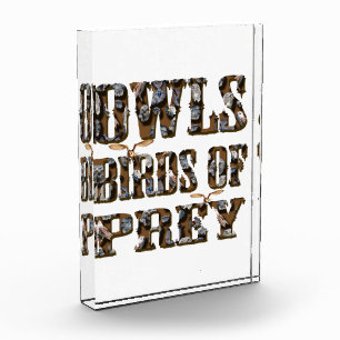 Owls Birds Of Prey,  Photo Block