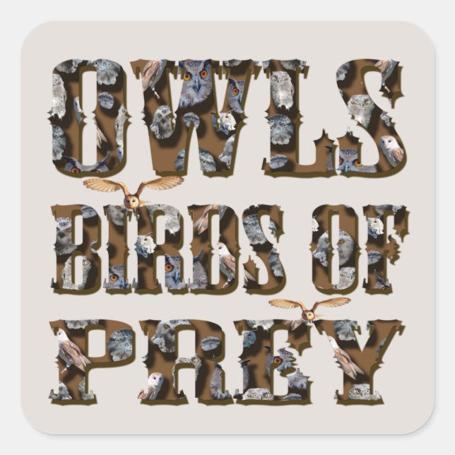 Owls Birds Of Prey,  Square Sticker (Front)