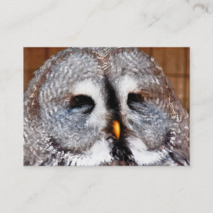 OWLS BUSINESS CARD