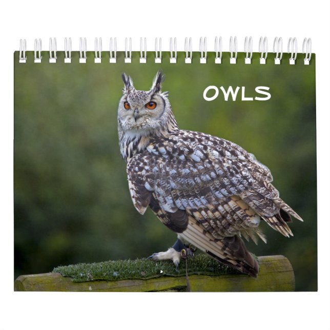 Owls Calendar (Cover)