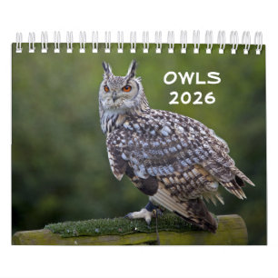Owls Calendar