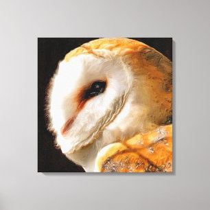 OWLS CANVAS PRINT