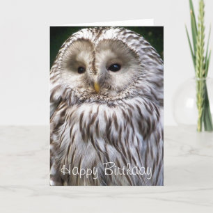 OWLS CARD