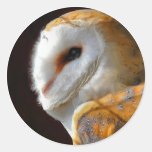 OWLS CLASSIC ROUND STICKER