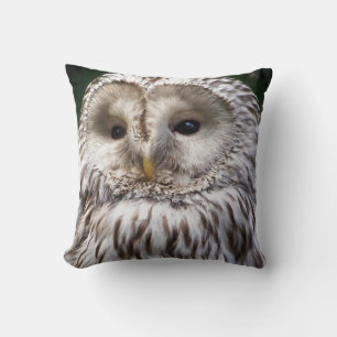 OWLS CUSHION