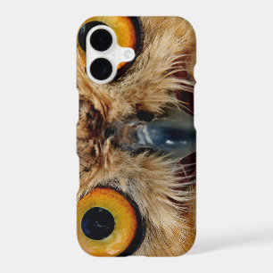 Owls Eyes