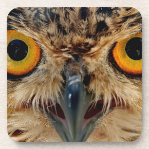 Owls Eyes Coaster