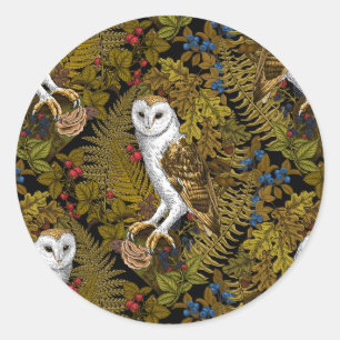 Owls, ferns, oak and berries 2 classic round sticker