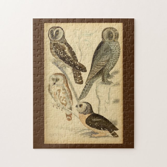 Owls illustration jigsaw puzzle (Vertical)