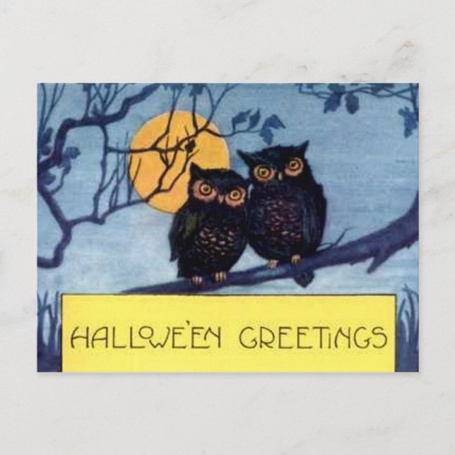 Owls in a Tree Halloween Postcard (Front)