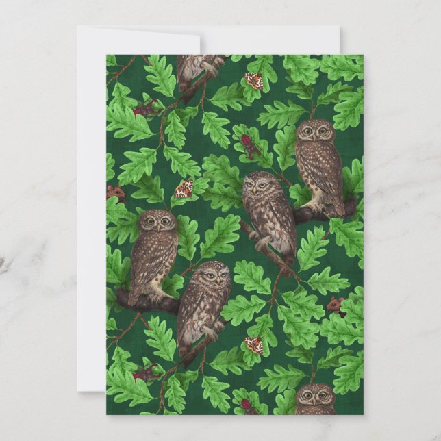 Owls in the forest on dark green (Front)