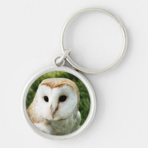 OWLS KEY RING