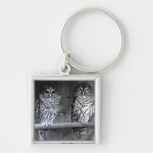 Owls Key Ring