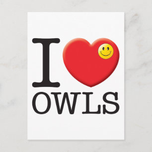 Owls Love Postcard