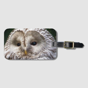 OWLS LUGGAGE TAG