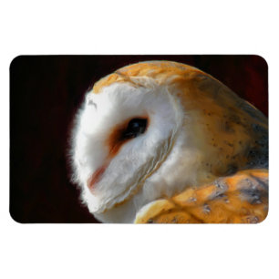 OWLS MAGNET