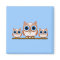 owls