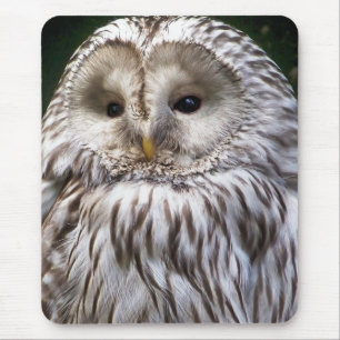 OWLS MOUSE PAD