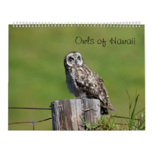 Owls of Hawaii Calendar
